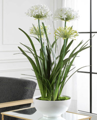 PURITY AGAPANTHUS CENTERPIECE