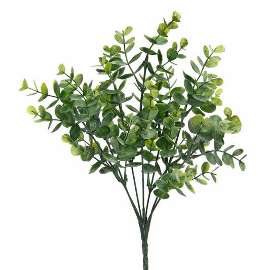 Eucalyptus Bush